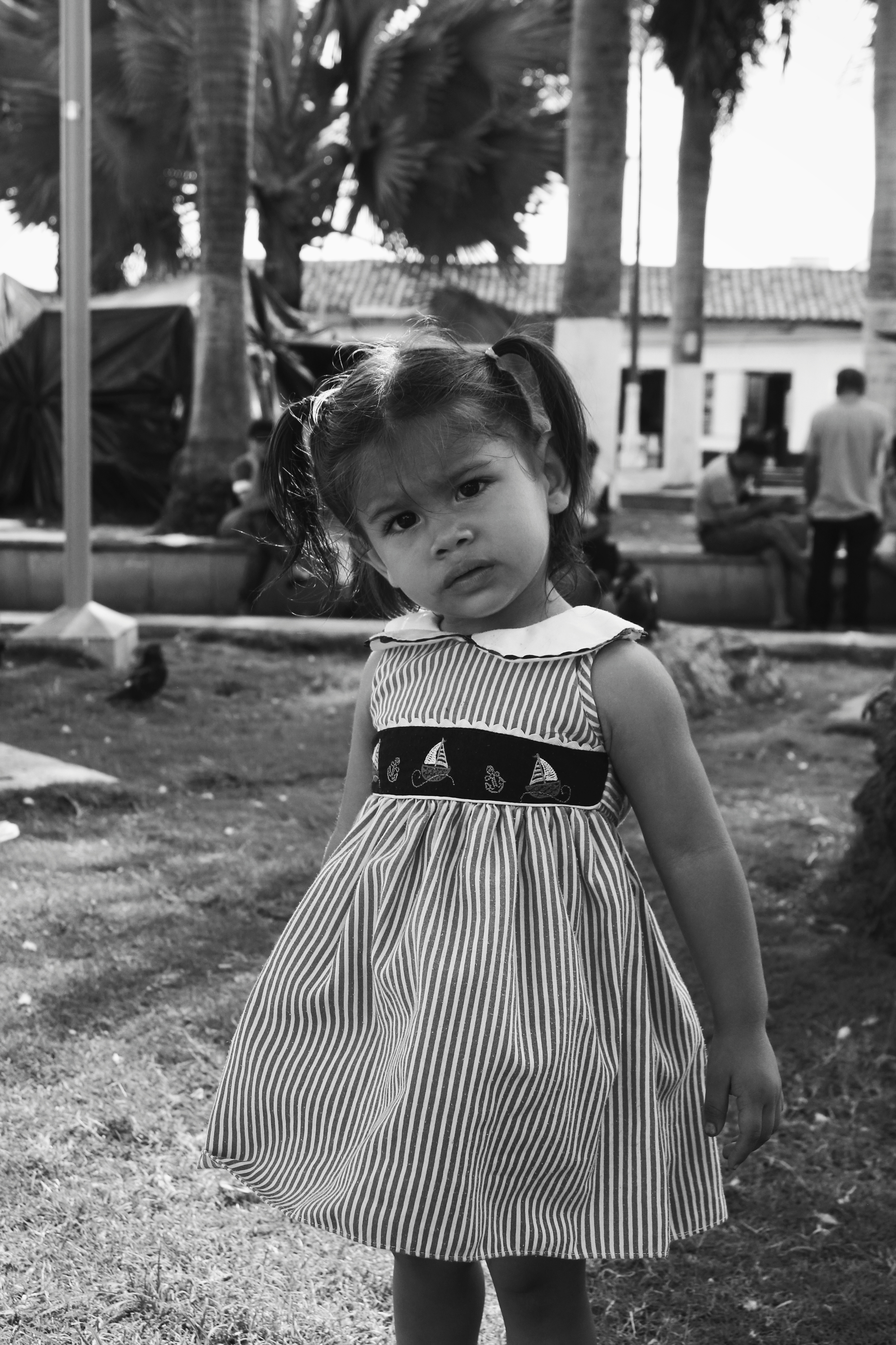 Miniatura Proyecto 12