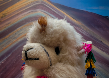 Miniatura Proyecto 12