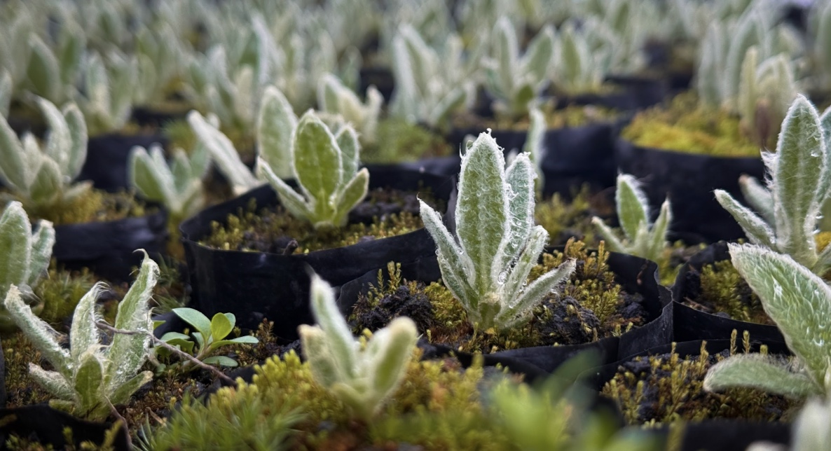 Miniatura Proyecto 7